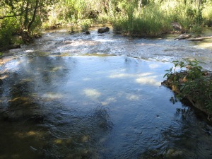 Lagartero stream 